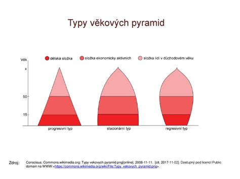 věkové pyramidy